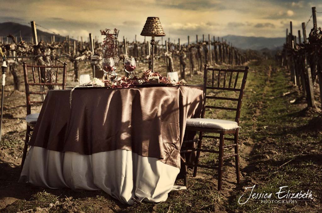 Tavolo degli sposi tra le vigne