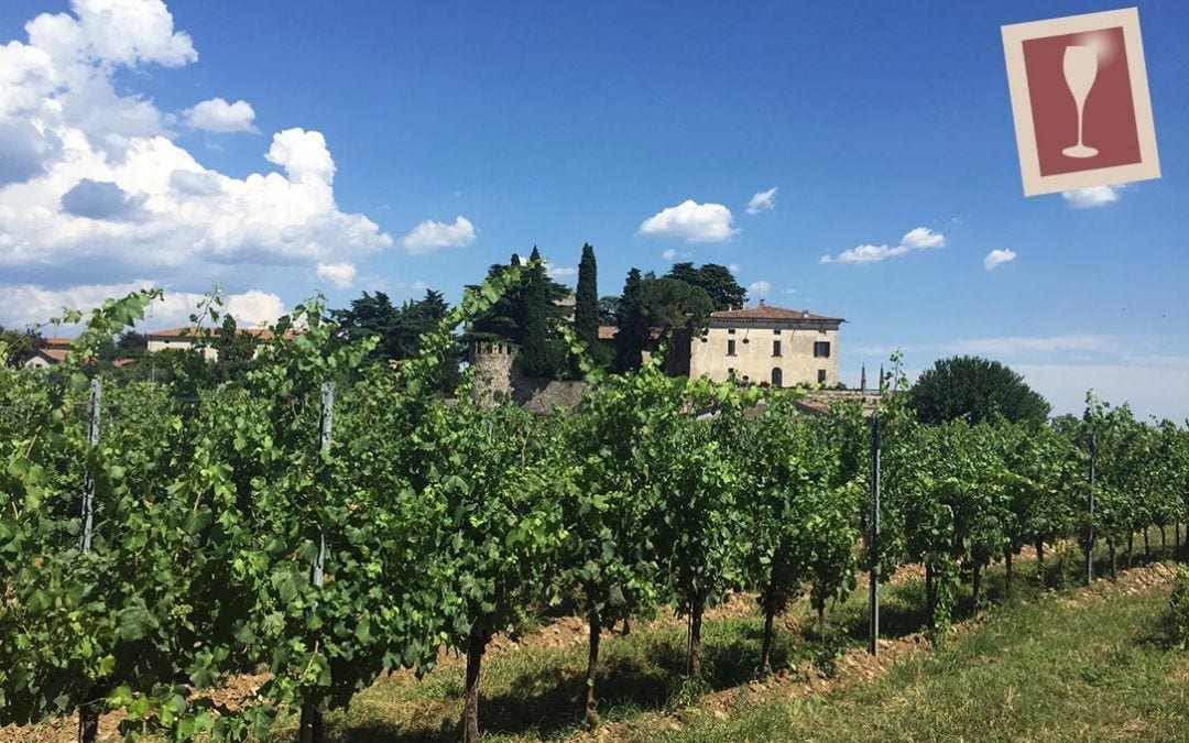 Looking for a classic method sparkling wine? Try Biondelli's Franciacorta!