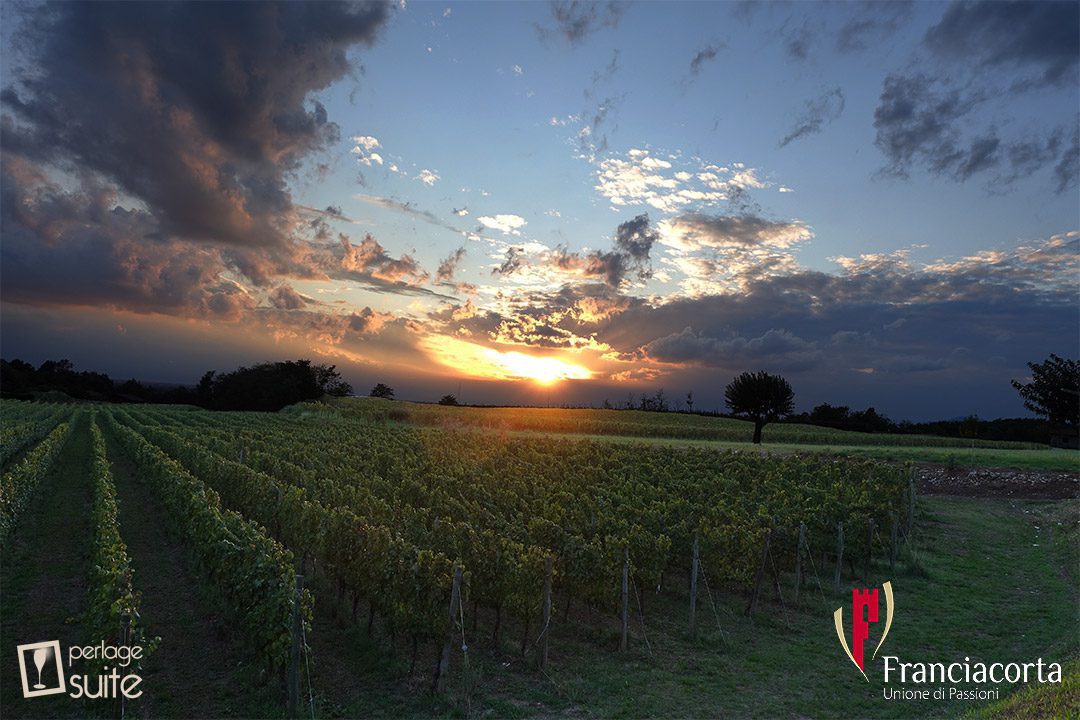 franciacorta festival in the cellar