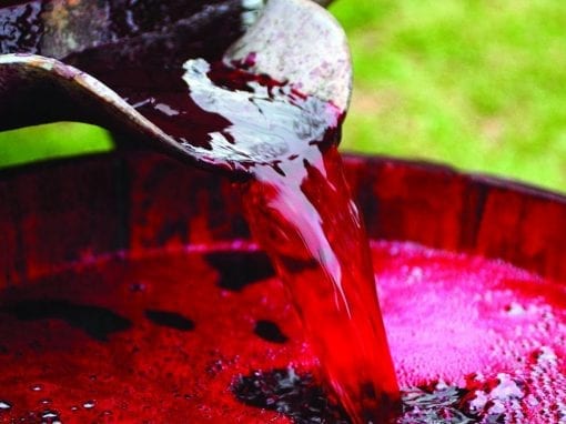 Pratiche di cantina: trattamenti e correzioni del vino