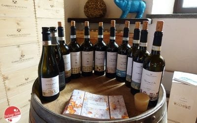Gabriele Scaglione: fabulous Piedmont wines