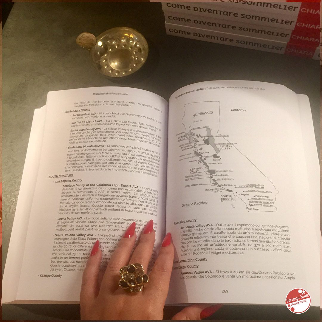 Sommelier: il manuale illustrato. Tutti i miei appunti sul vino e sul cibo  in un solo libro. Ediz. speciale - Chiara Bassi - Libro - Perlage Suite 