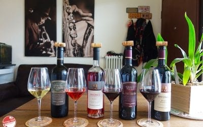 Calabrian wines: sommelier notes and tasting Cantine Lavorata