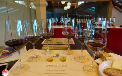 Tuscan wines: 2 days between Montepulciano and Montalcino with Carpineto