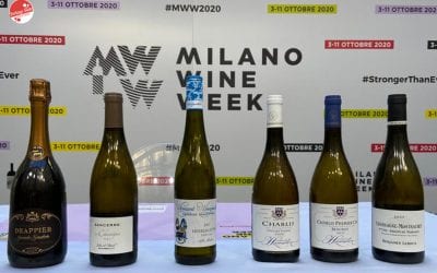 Milan Wine Week 2020: 3 Partesa wines worth putting on your restaurant menu