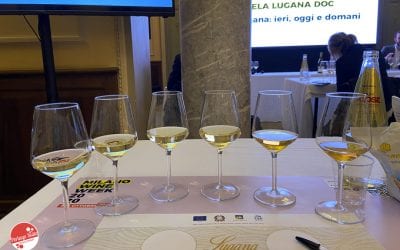Milan Wine Week 2020: Lugana Masterclass