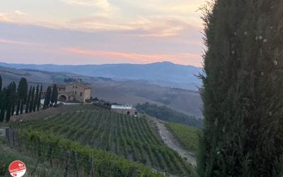Podere Marcampo: degustazione vini  e ristorante a Volterra