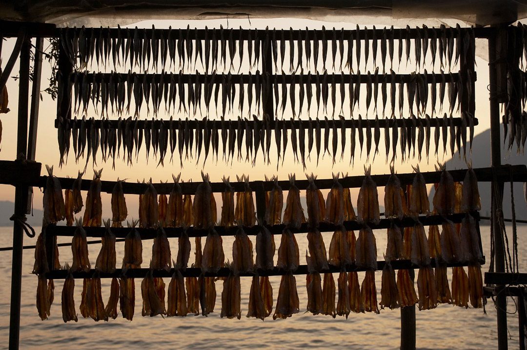 sardine from monte isola