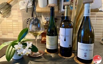 Timorasso: from vine to wine, tasting Derthona