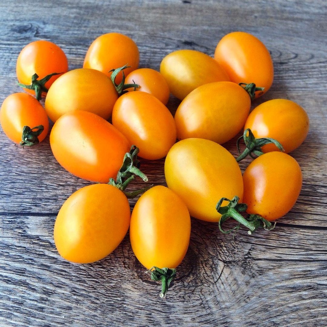 spaghetti al pomodoro giallo ricetta