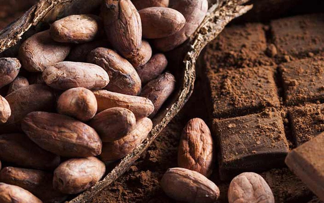 Dal cacao al cioccolato: vino, vermuth o distillato?