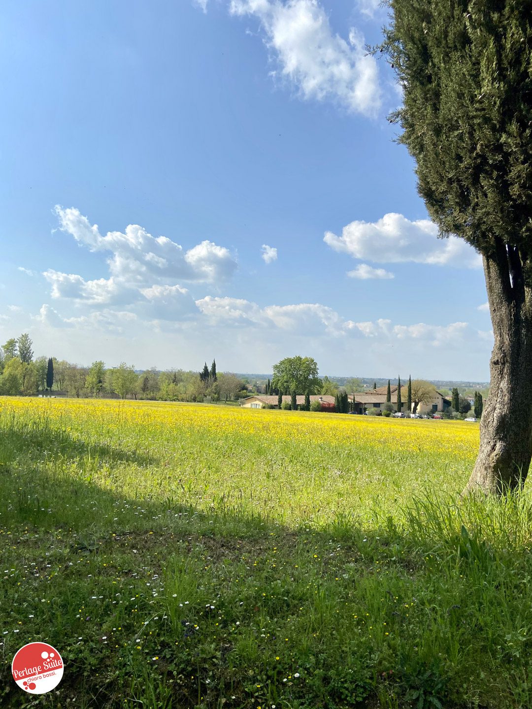 vini emiliani lambrusco spumante venturini baldini