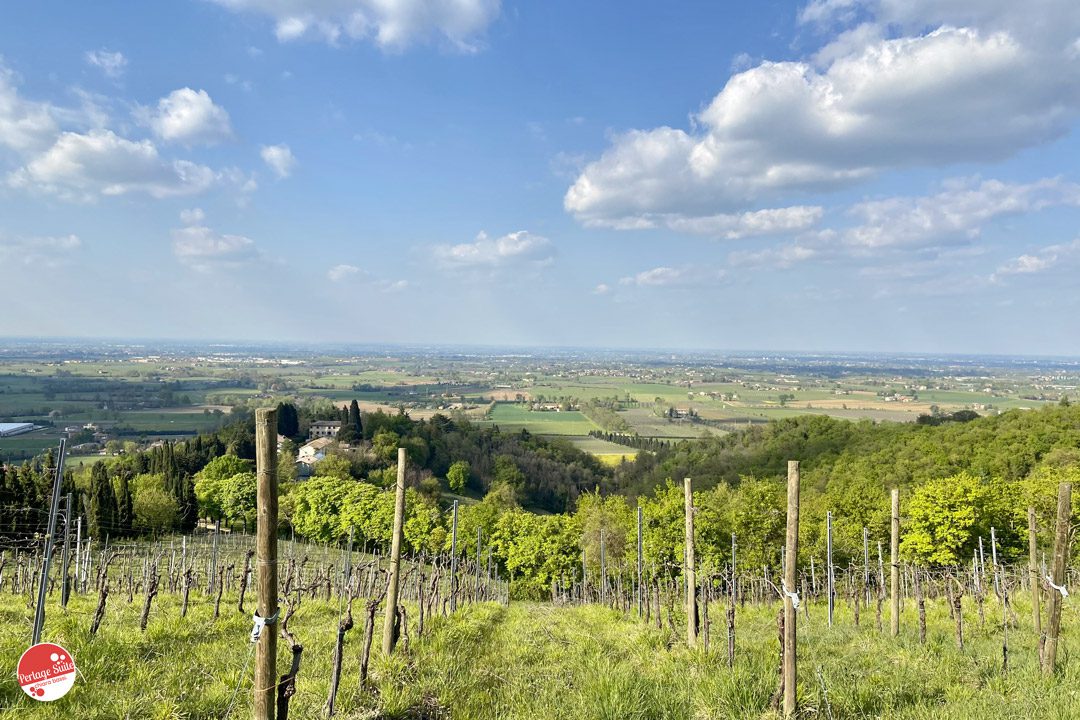 emilian wines lambrusco spumante venturini baldini