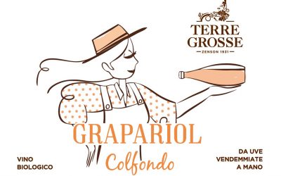 Grapariol: do you know the white raboso of Terre Grosse?