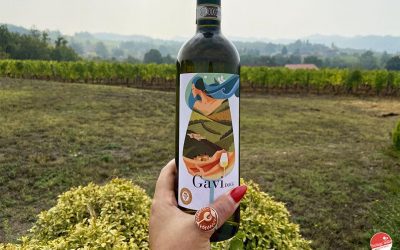 Piedmontese white wines: thoughts on Gavi