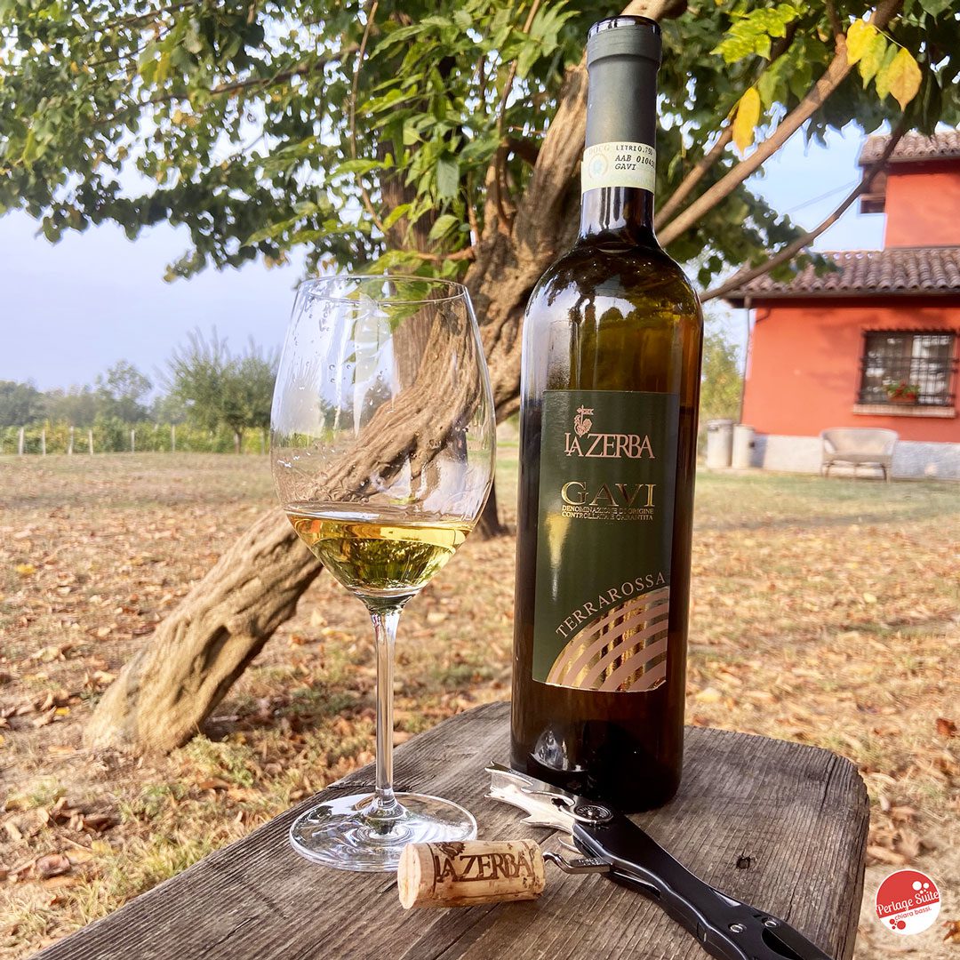 vini bianchi piemontesi gavi docg la zerba