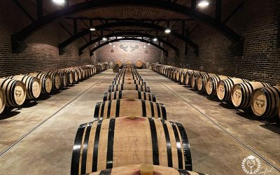 Oltrepò Pavese wine: discover Tenuta Mazzolino