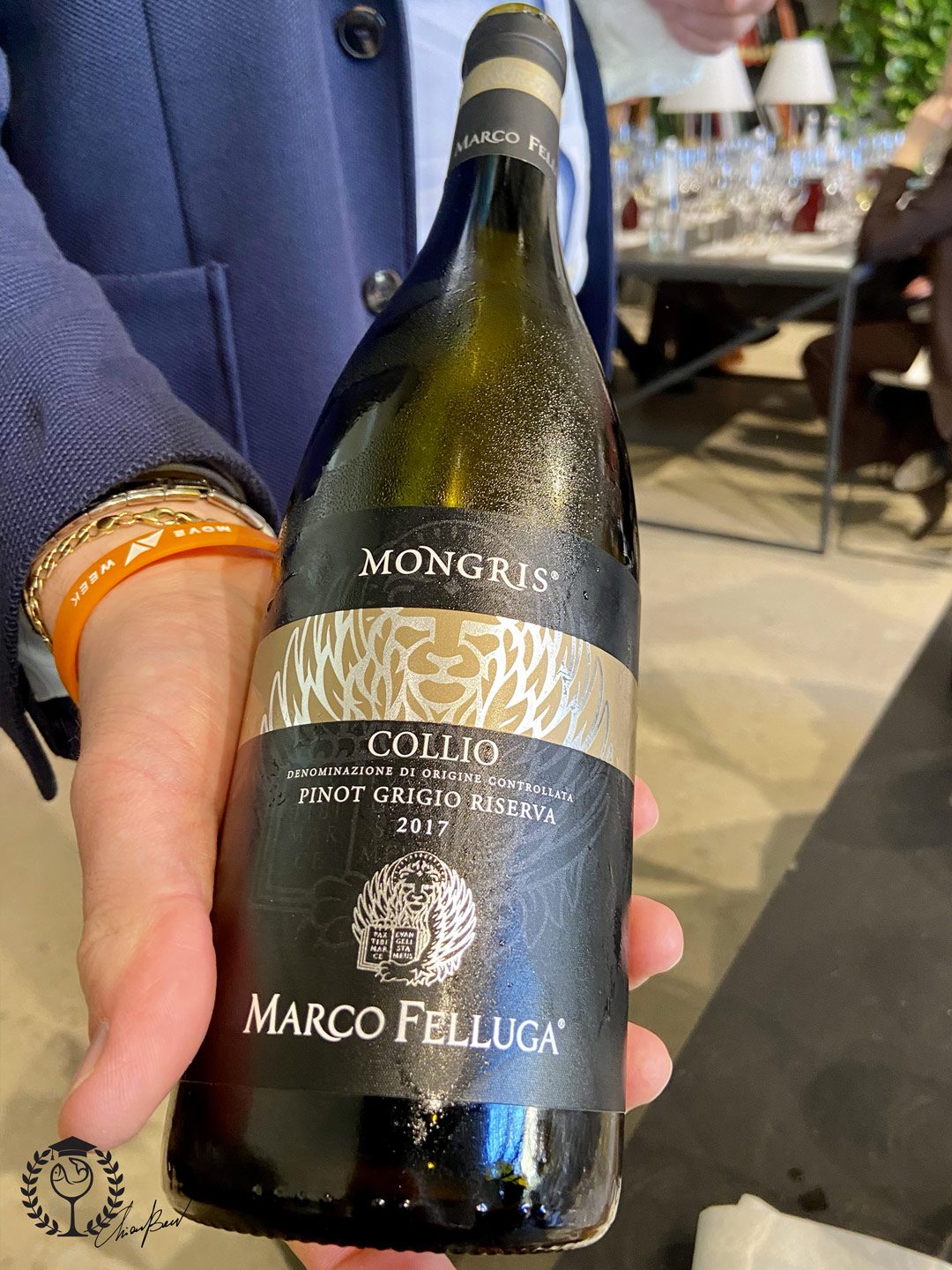 veronelli guide gold wines awarded sun 2022 marco felluga