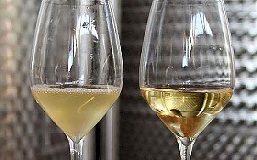 chiarificazione del vino chiarifica albumina gelatina