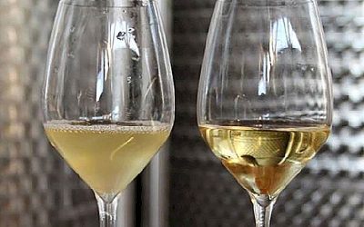 Wine clarification: gelatine or albumin?