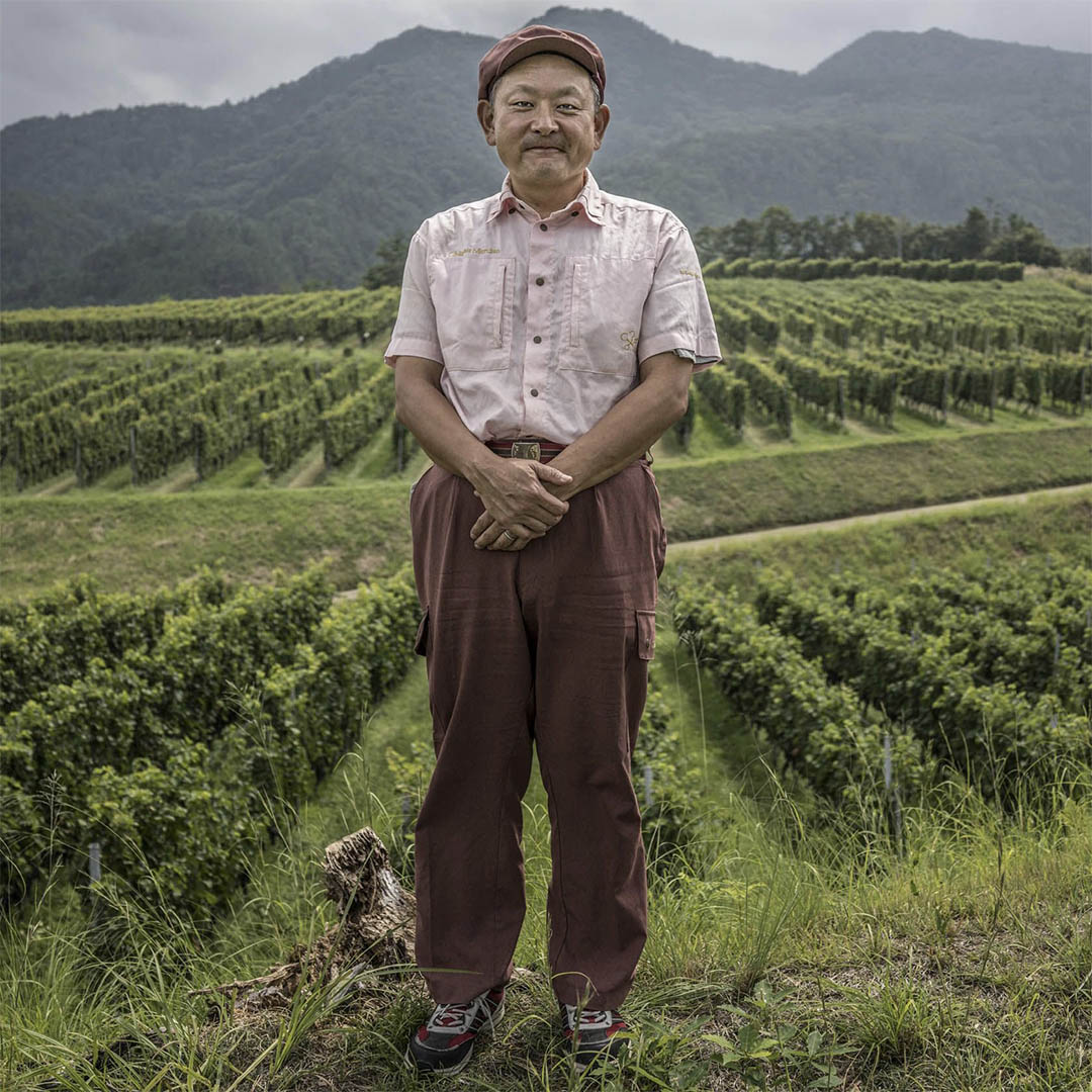 Japanese wines Japanese wine growing in Japan