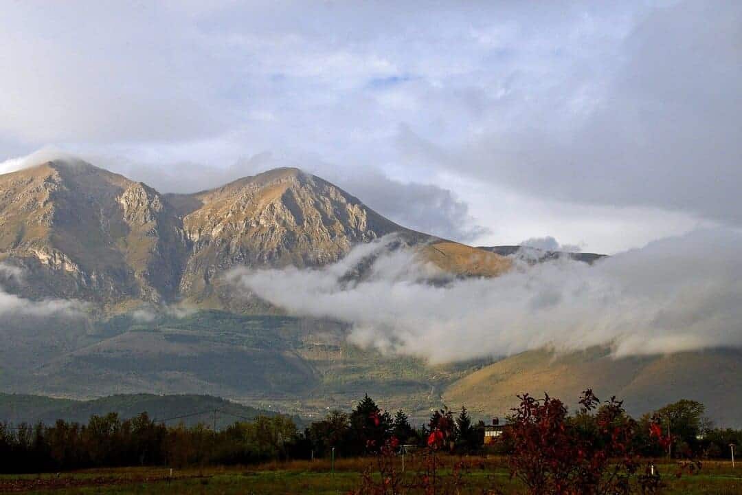 Abruzzo wines