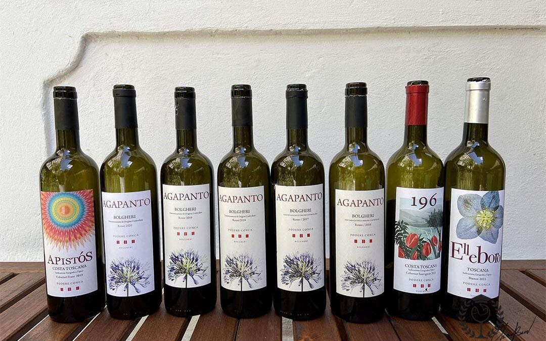 Bolgheri wine: the vertical of Podere conca