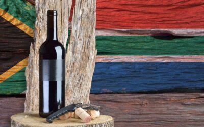 South African wines: history, oenology and pairings