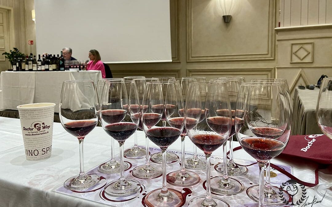 Doctor wine 2022: 14 vini rossi piemontesi