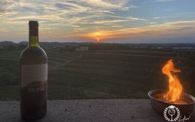 Barcolana 2022 con i vini di Torre Rosazza