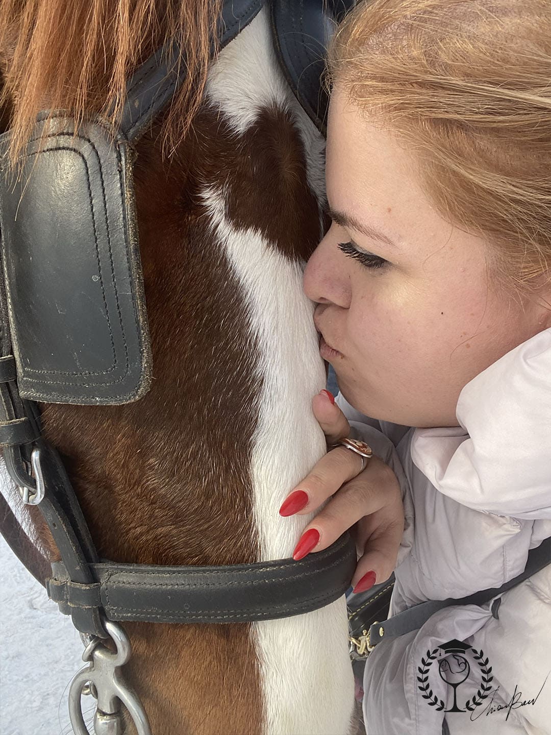 What to do in livigno ranch horses sledding