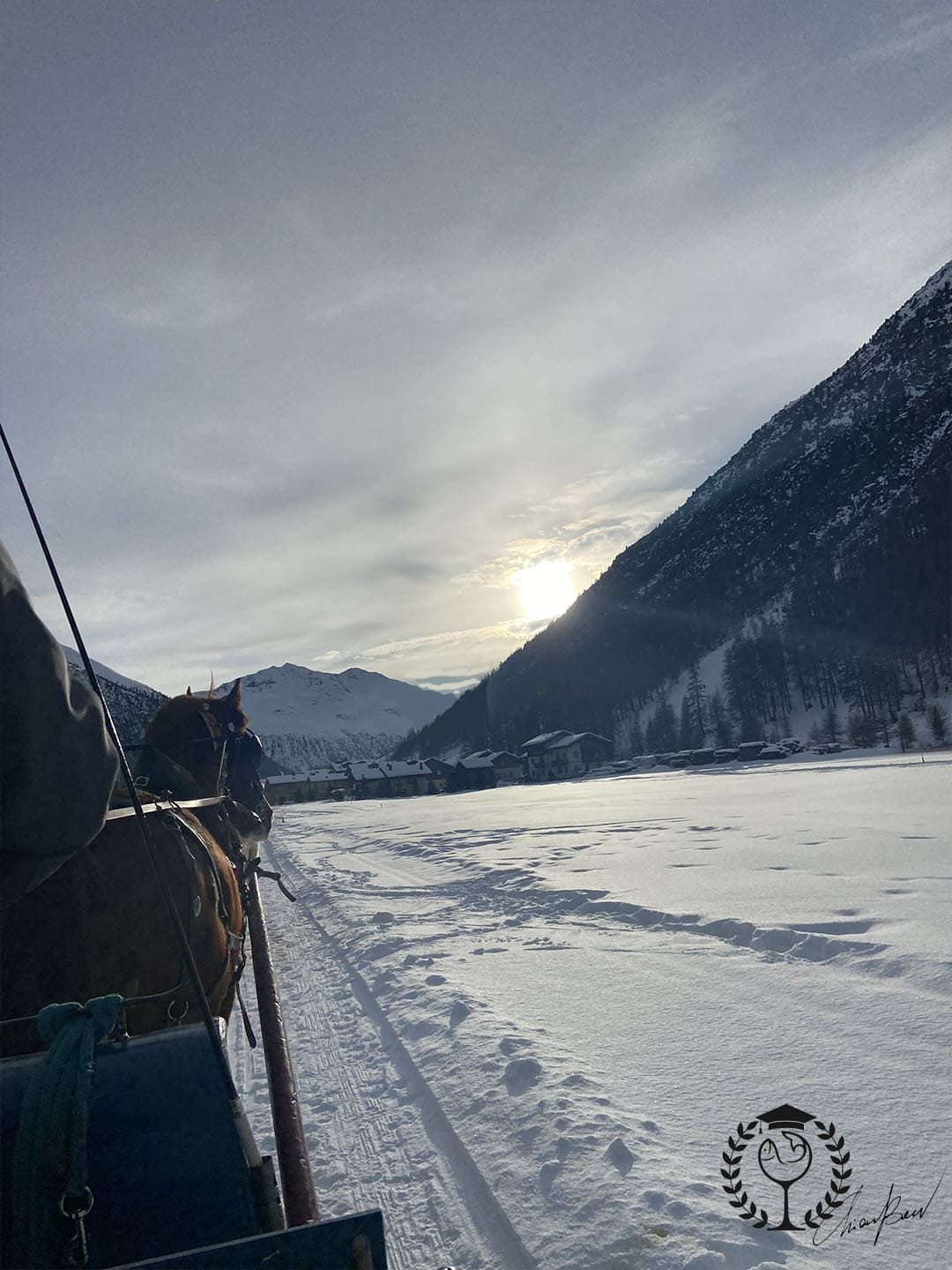 What to do in livigno ranch sledding horses